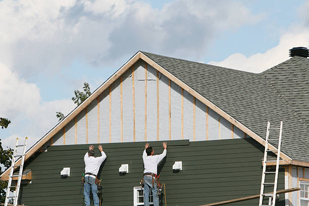 Best Vinyl Siding Installation  in Knoxvle, IL